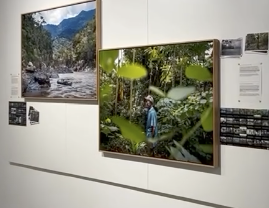 Exposición Pedro Armestre en House of PHotography Barcelona 2026/01